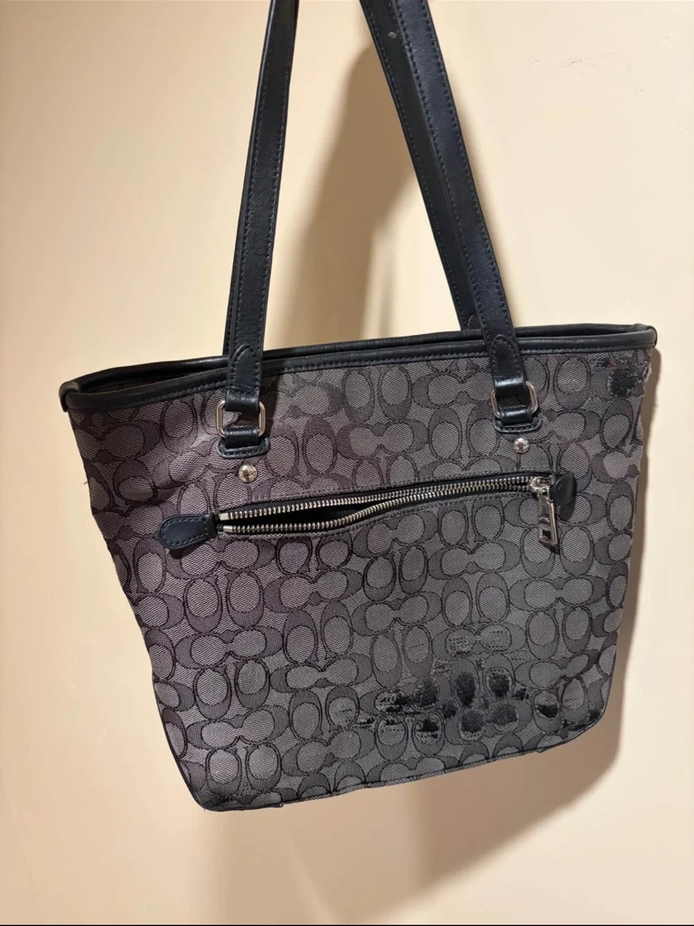 Coach Signature Canvas Tote